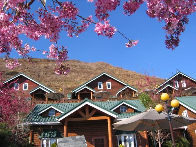 清境豐田桂林山莊民宿 Ренай Екстериор снимка